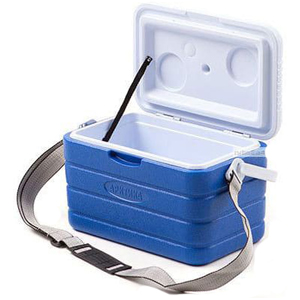 Термобокс, термоконтейнер в аренду