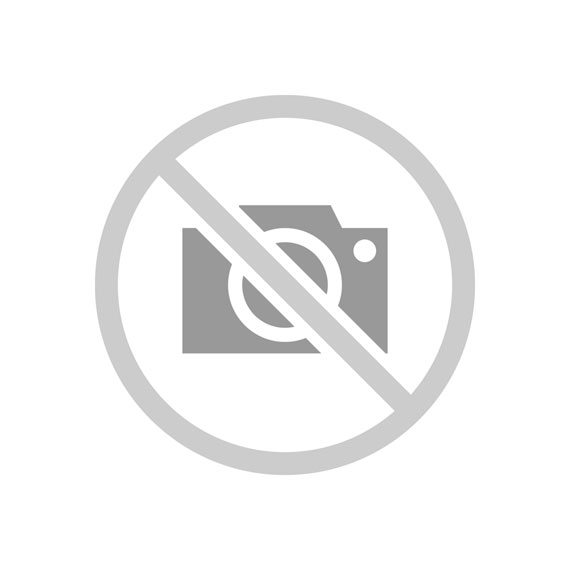 Пароконвектомат Атеси Рубикон Апк-10-1.1, аренда, бойлерный